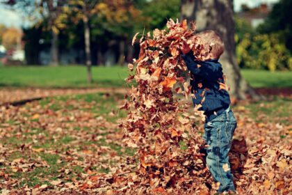 Boy Playing With Fall Leaves Outdoors