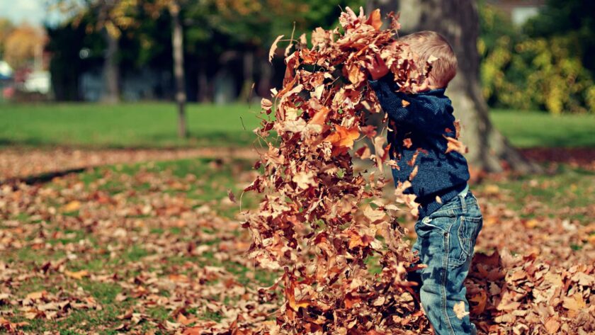 Boy Playing With Fall Leaves Outdoors