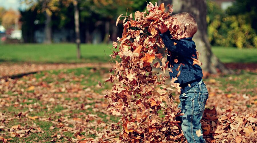 Boy Playing With Fall Leaves Outdoors