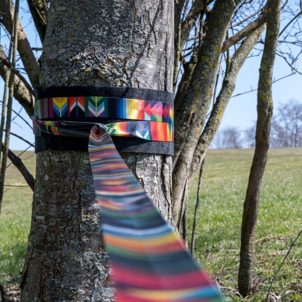 BUZZARD Havana Sustainable Slackline Set 15 m with Tree Protection 120 cm Made in Germany