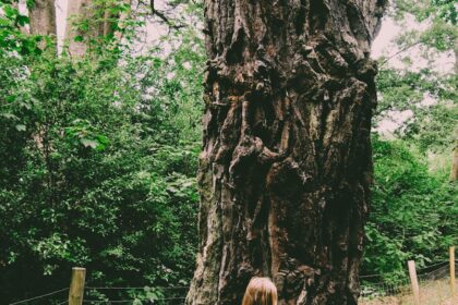 a little girl standing in front of a large tree