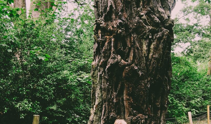 a little girl standing in front of a large tree