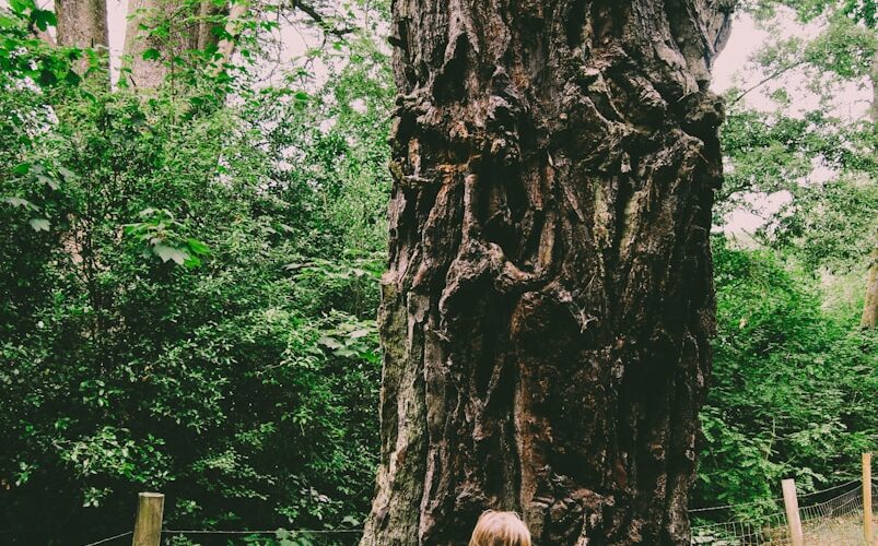 a little girl standing in front of a large tree