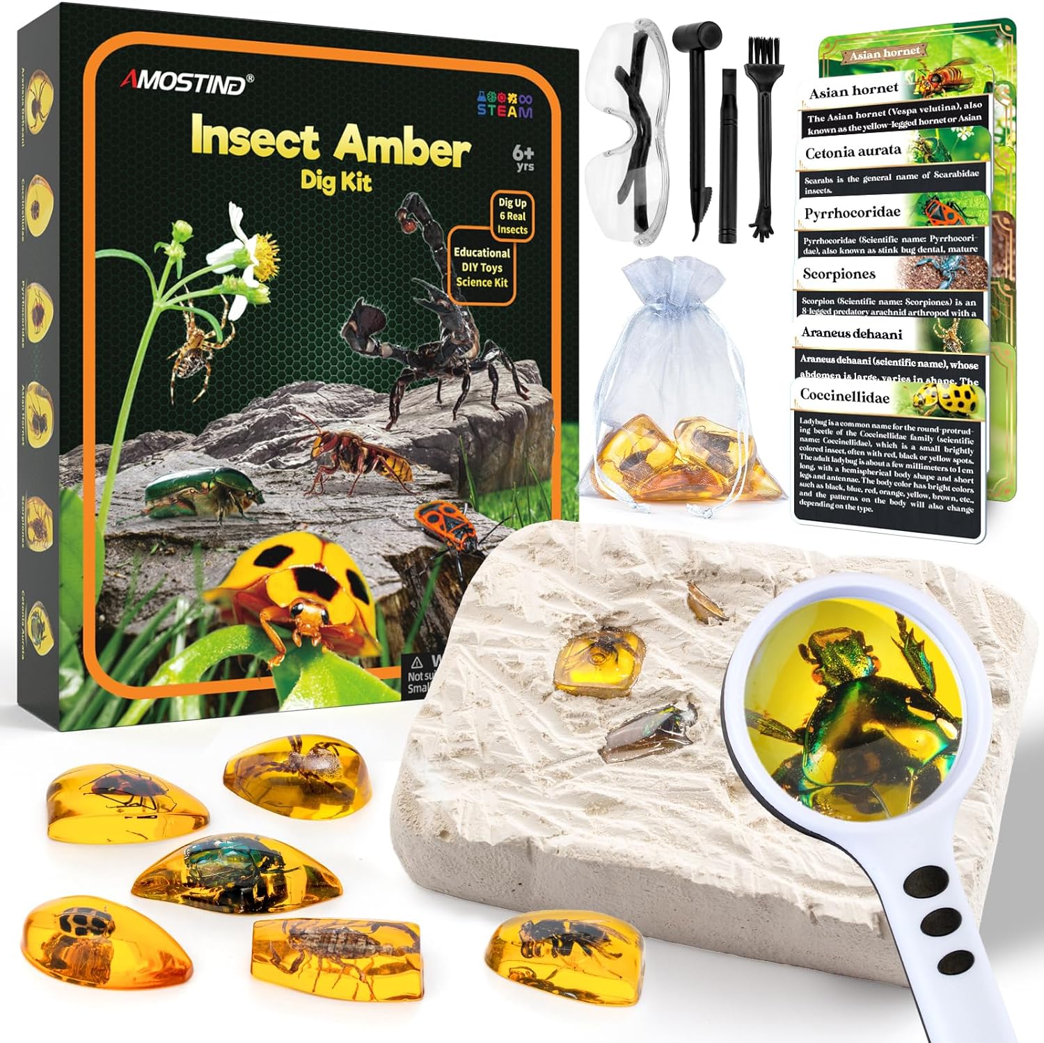 AMOSTING Bernstein Excavation Set for Children from 6 7 8 9 10-12 Years, Artificial Insect Fossils, Digging Gemstones for Childrens Birthday Parties