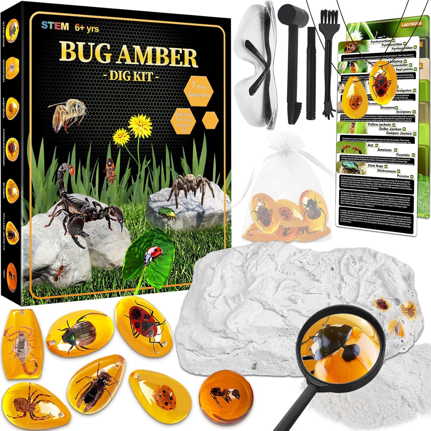 Bernstein Excavation Set for Children from 6 7 8 9 10 11 12 Years, Fossils Excavation Set Children with 7 Artificial Insect Fossils and Excavation Accessories, Gemstones Excavation for Boys Girls